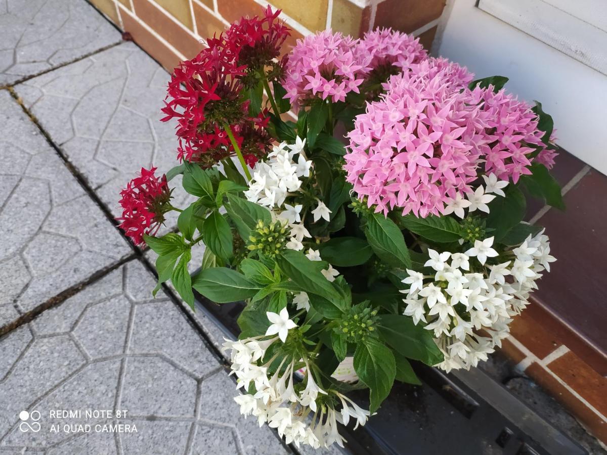 Ferienwohnung Espenau Zewnętrze zdjęcie